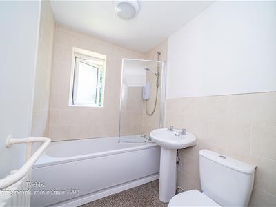 Picture 17